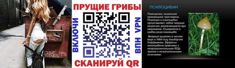 Псилоцибиновые грибы мухоморы  Райчихинск 
